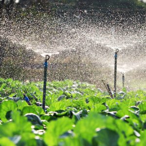 Diseño de Sistema de Riego Eficiente